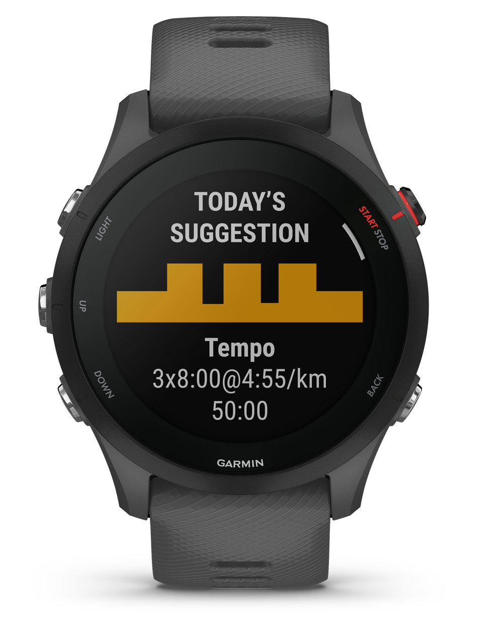 GARMIN FR 255 schiefergrau/schwarz