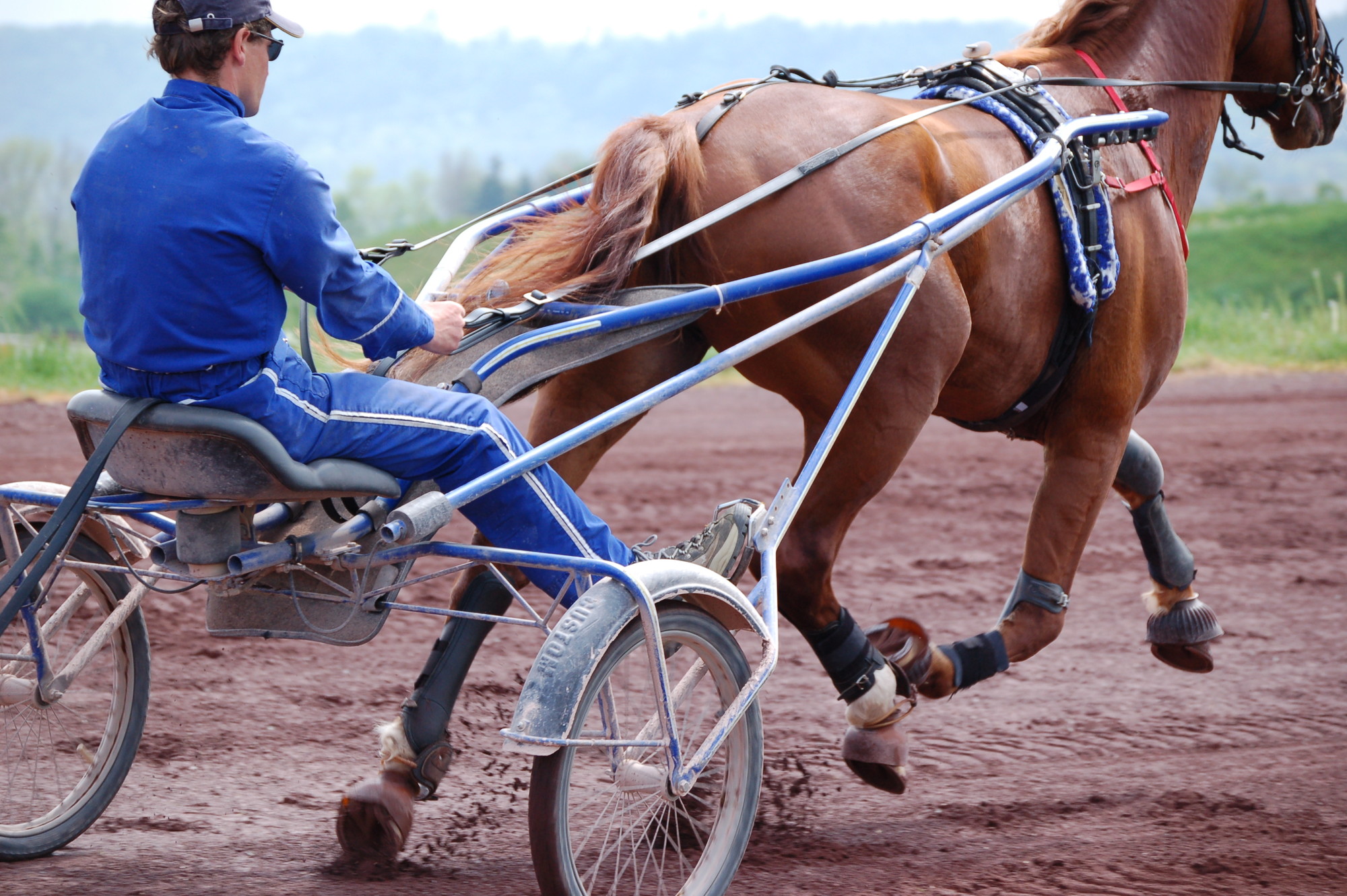 polar equine m400 trotting